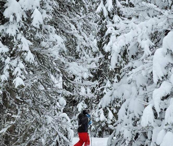 Отель Nordic Lapland Resort