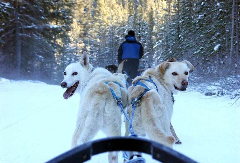 Отель Nordic Lapland Resort