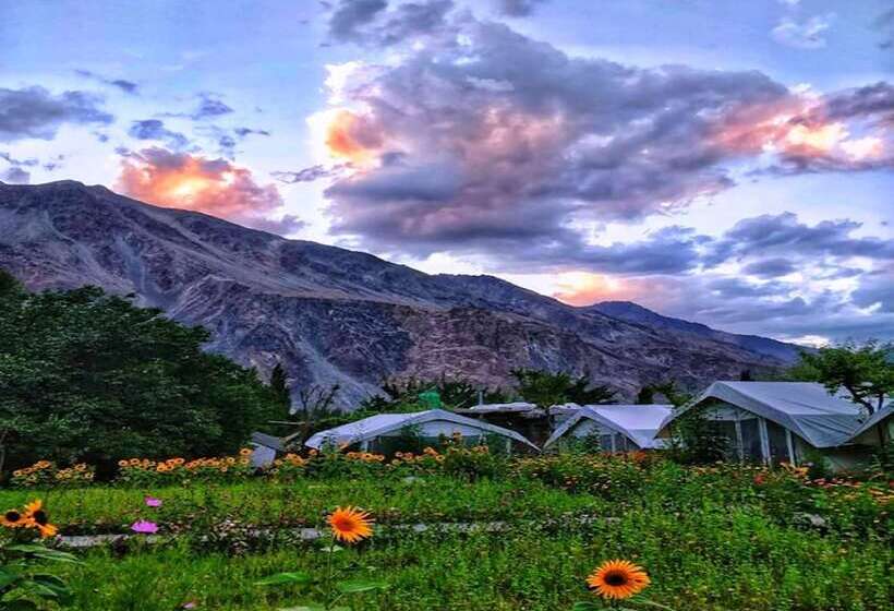 בית מלון כפרי Tih Buckwheat Root Camp   Turtuk