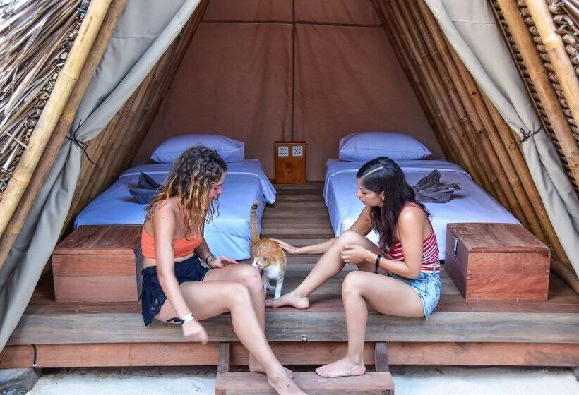 Mad Monkey Gili Trawangan   Hostel