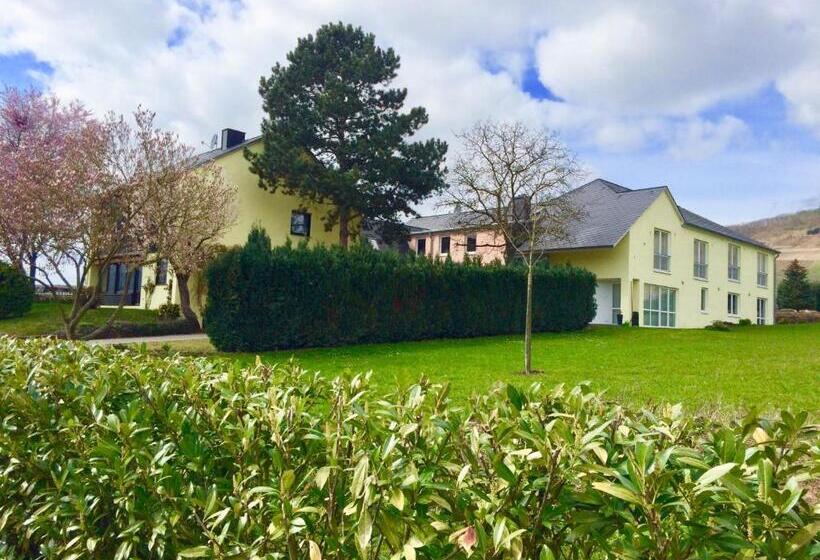 פנסיון Gästehaus Auler Hof