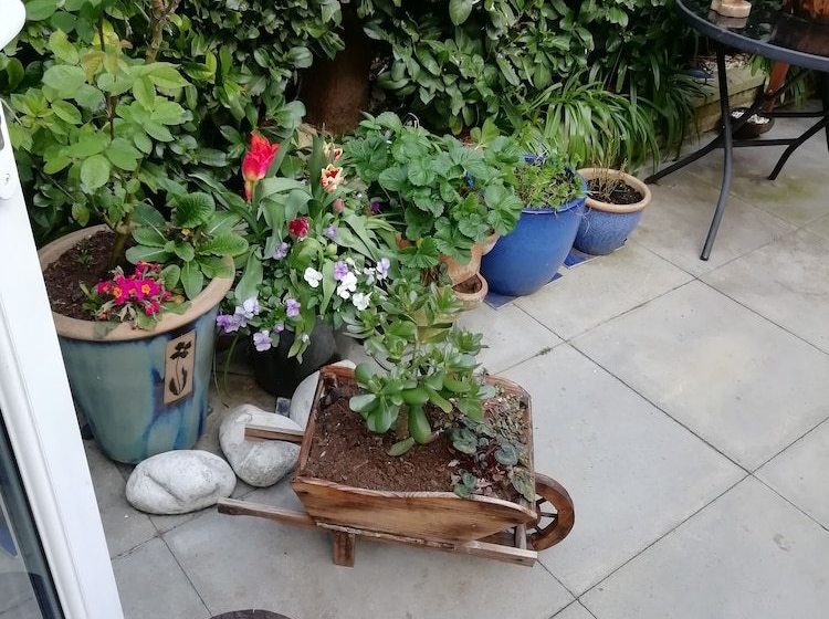 بنسيون Jasmina