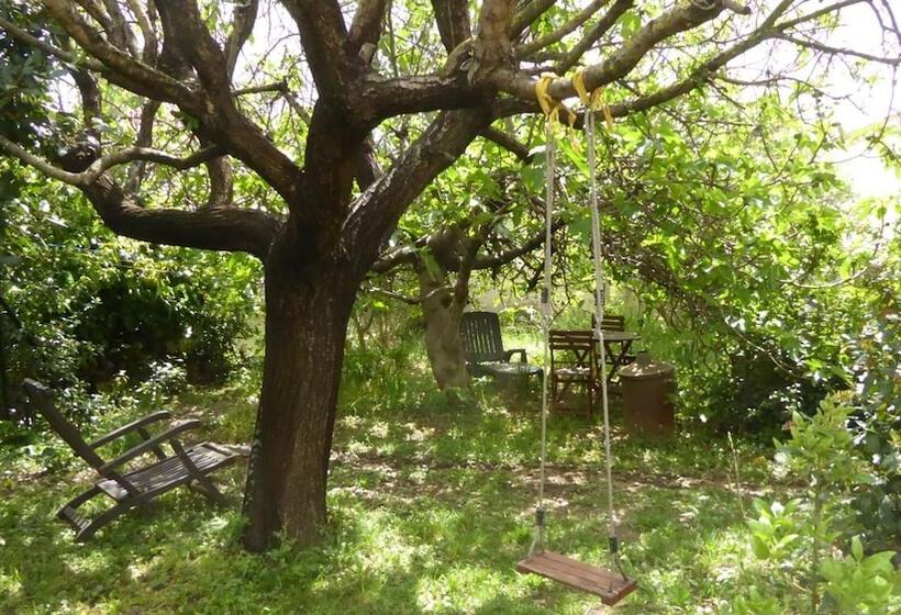 Пансион Les Pucines