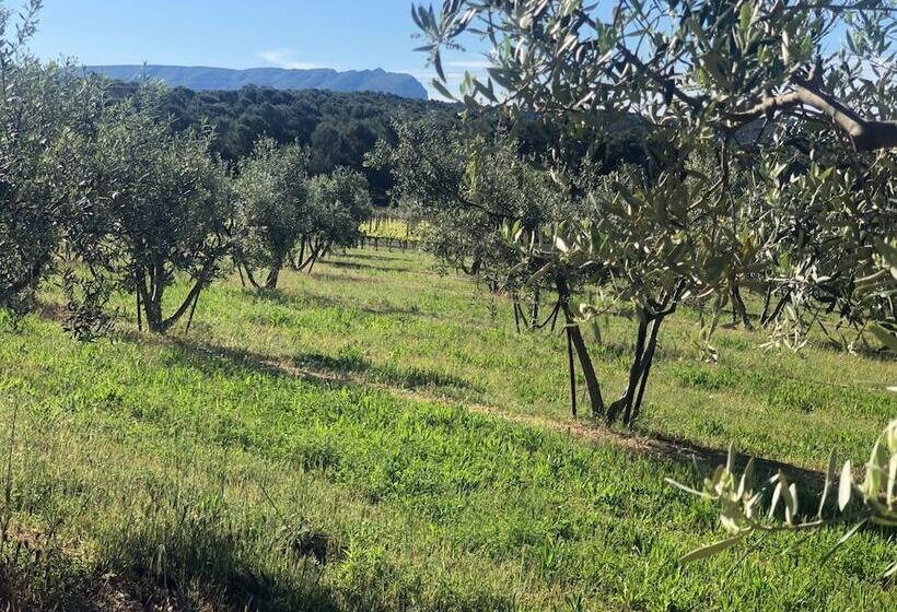 پانسیون Mas Lou Felibrige