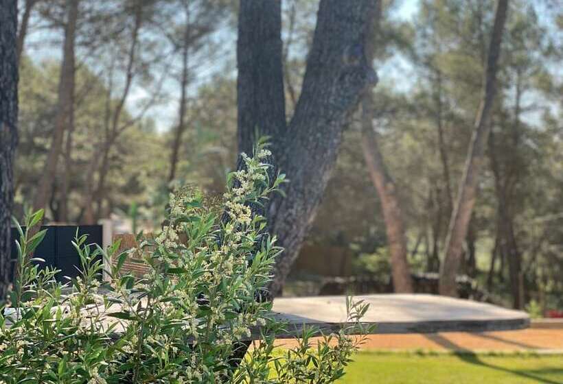 پانسیون Mas Lou Felibrige