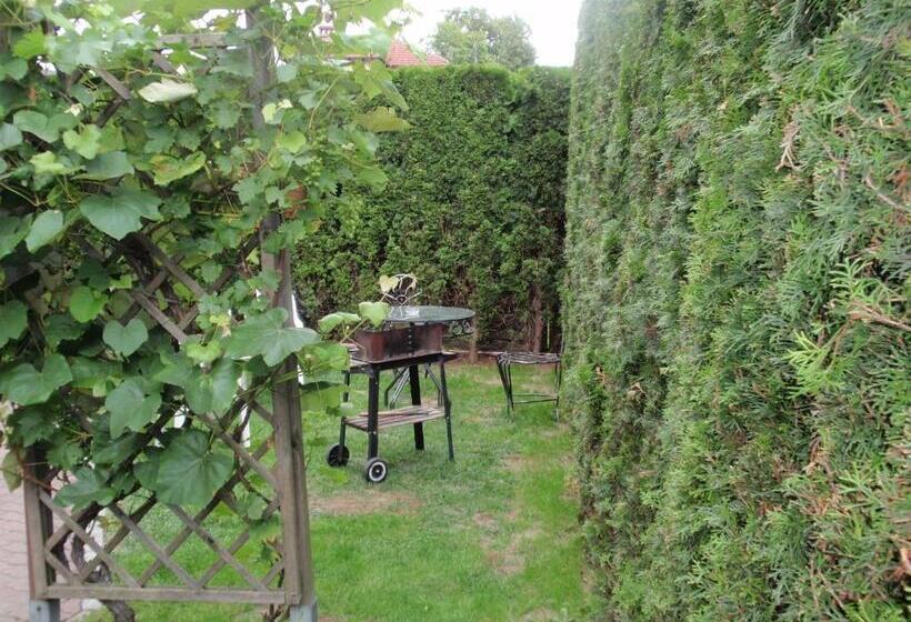 بنسيون Noclegi16