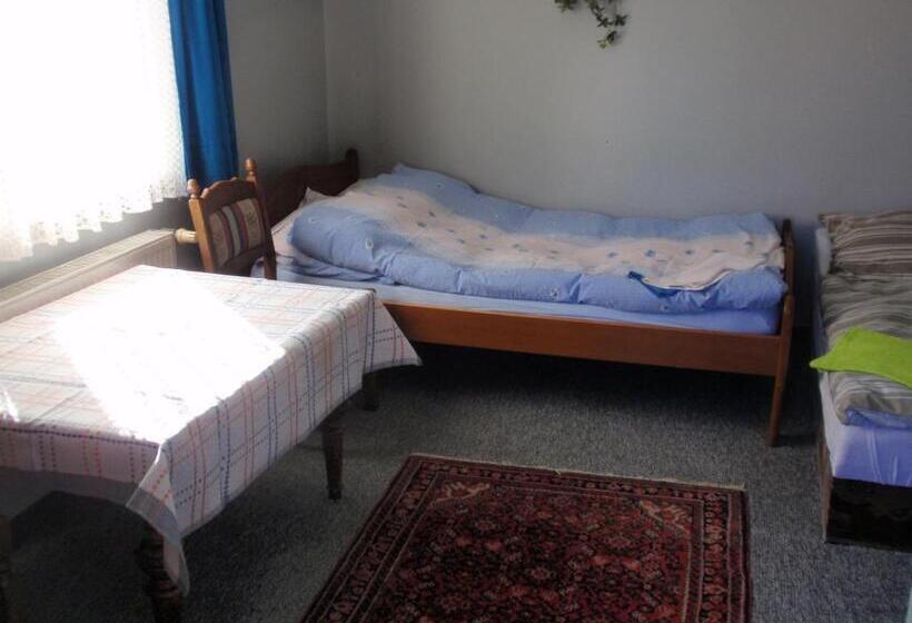 بنسيون Noclegi16