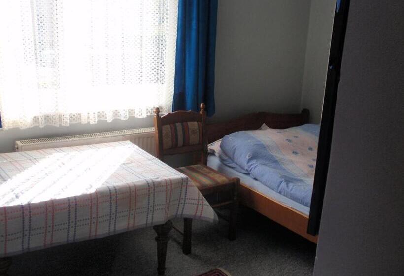 بنسيون Noclegi16