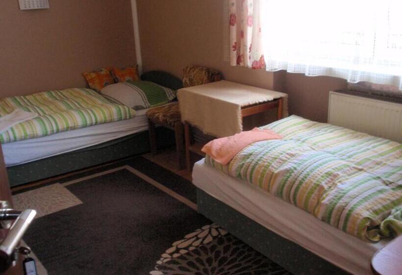 بنسيون Noclegi16