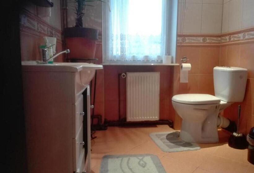 بنسيون Noclegi16