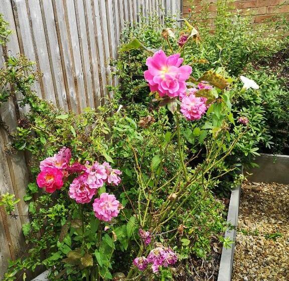 Пансион The Spinney