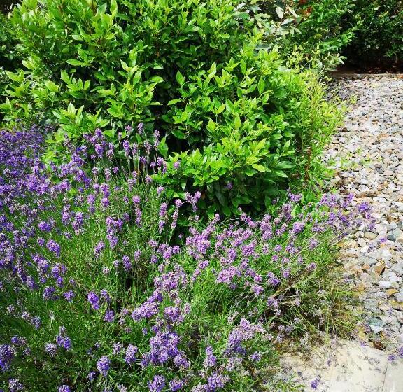 Пансион The Spinney