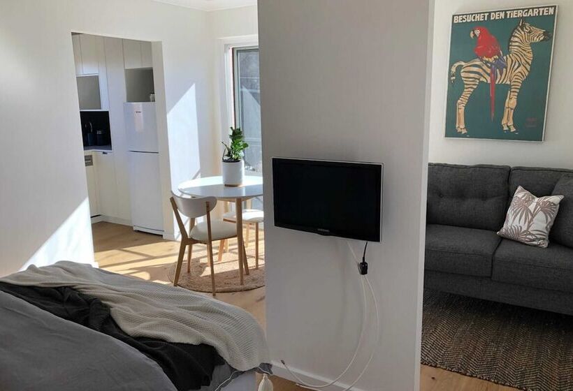 Sun Drenched 1 Bed Studio Apartment In Newtown