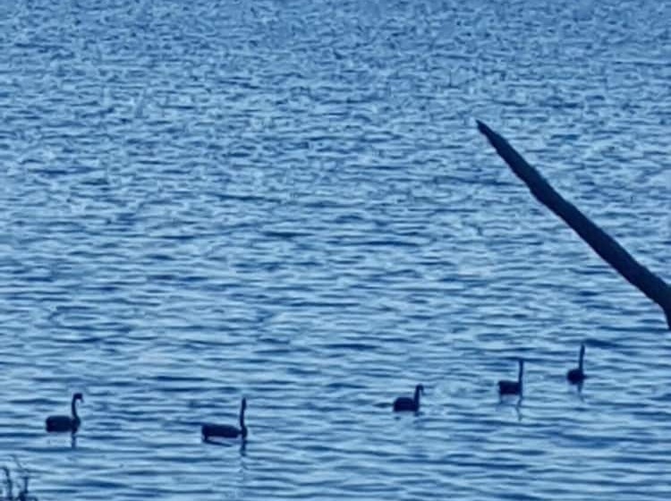 Trading Places Kangaroo Island