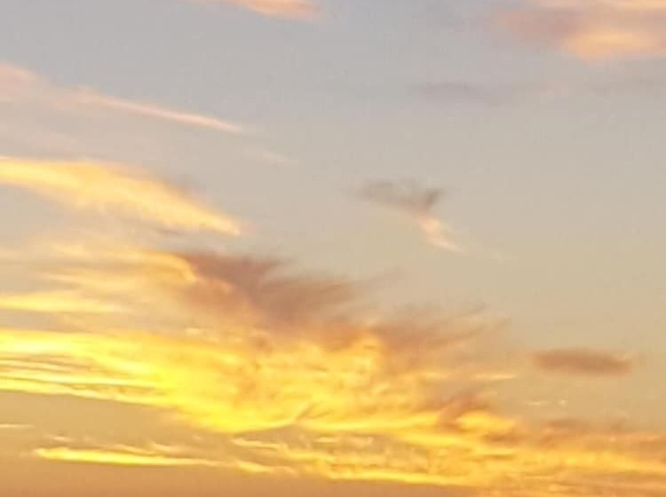 Trading Places Kangaroo Island