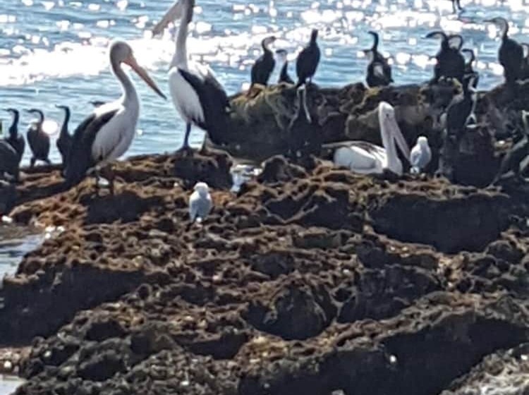 Trading Places Kangaroo Island