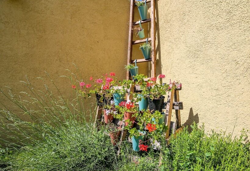 Villa Biograd Nm Bozini Dvori  Pool, Sauna And Jacuzzi