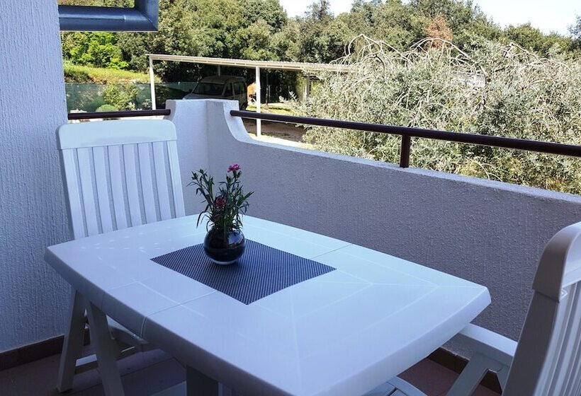 Apartment Davorka