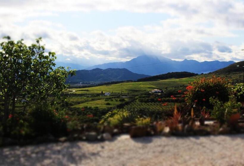 مبيت وإفطار Casa De La Vida Málaga