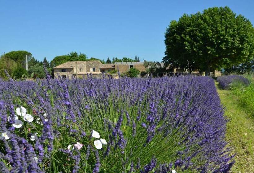 مبيت وإفطار Mas De L'amme