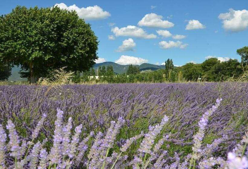 مبيت وإفطار Mas De L'amme