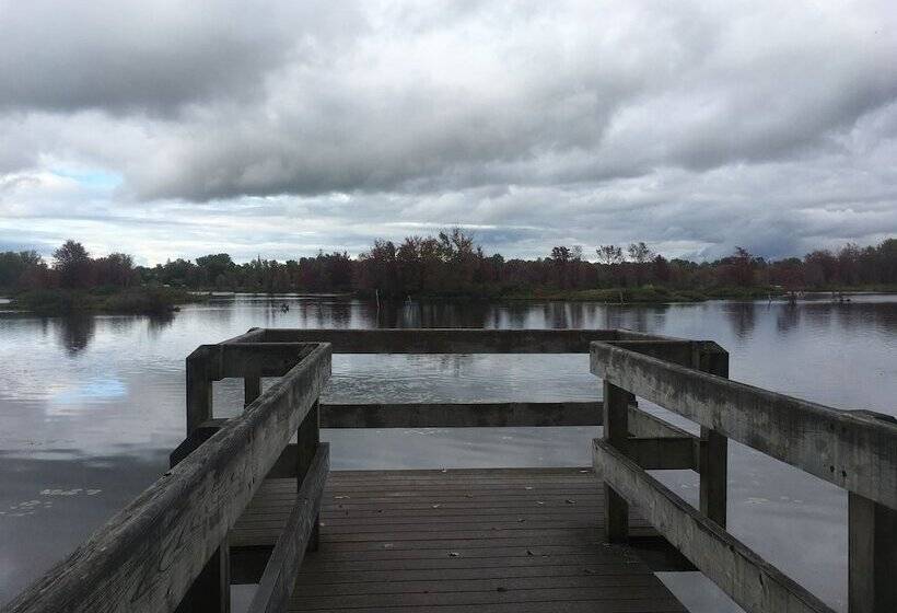 Bed and Breakfast The Cape Cod House