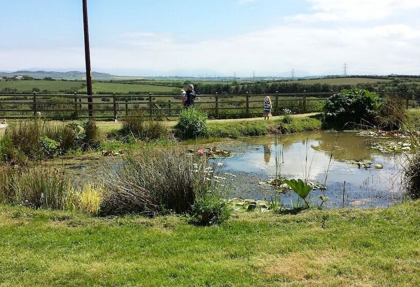 Bed and Breakfast The Old Rectory