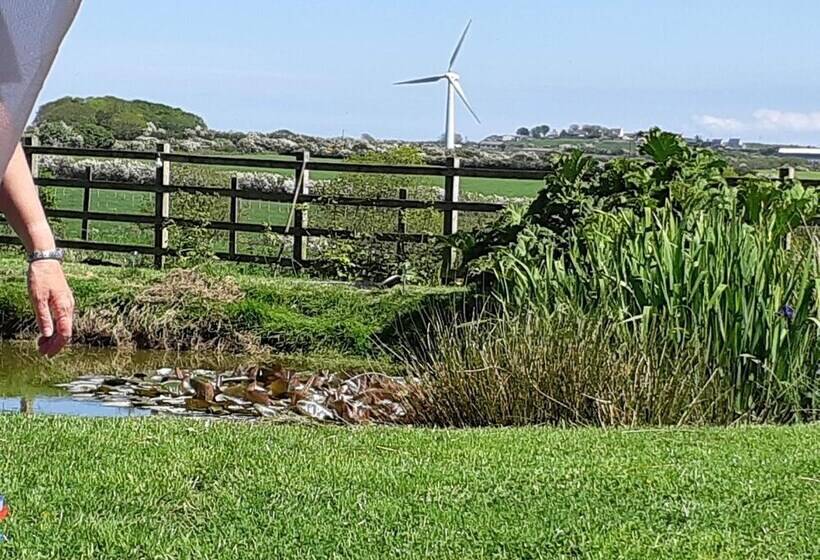 Bed and Breakfast The Old Rectory