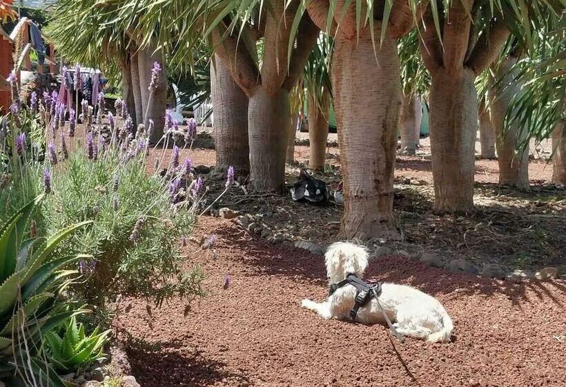 Отель Camping Invernaderito