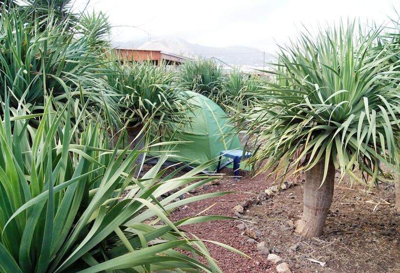 Отель Camping Invernaderito