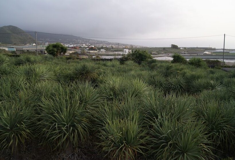 Отель Camping Invernaderito