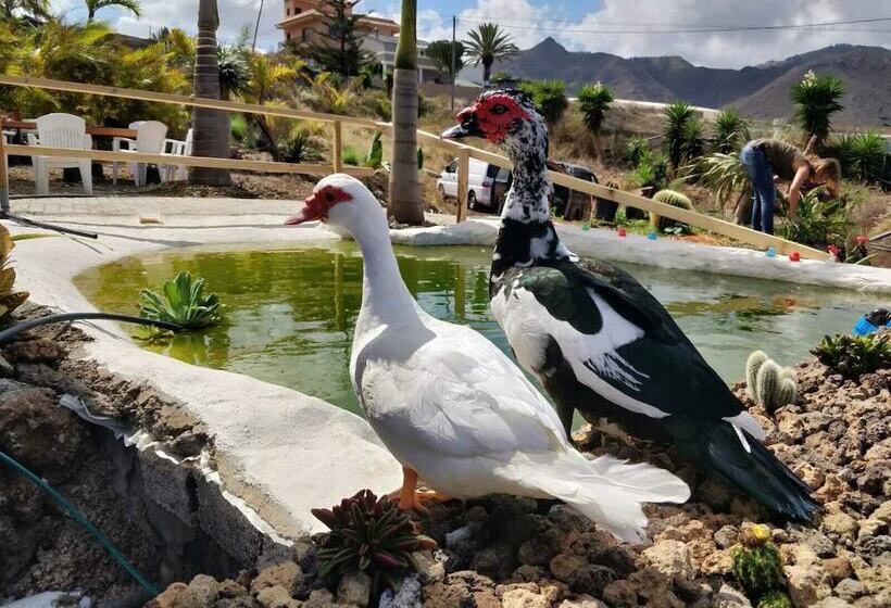 Отель Camping Invernaderito