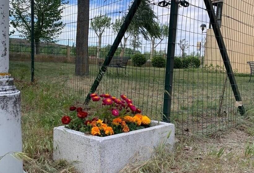 ホテル Camping El Tormes