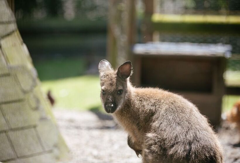 Отель Camping Saint Michel