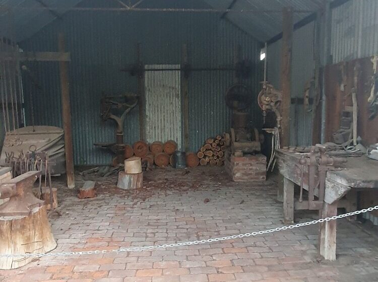 هتل Pioneer Tourist Park