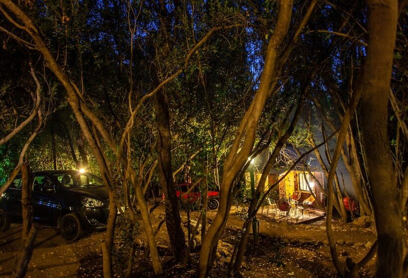 فندق La Bella Durmiente