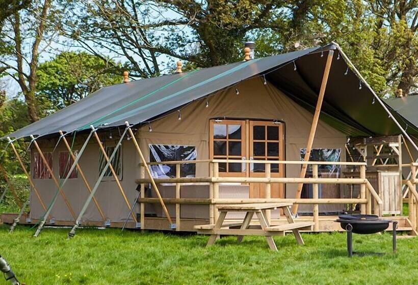 호텔 Primrose Farm Holidays