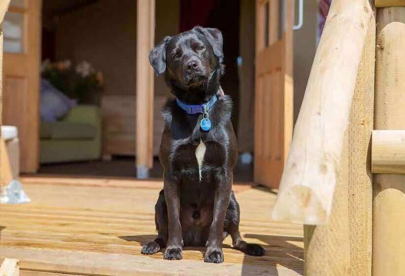 호텔 Primrose Farm Holidays