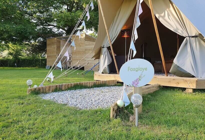 호텔 Primrose Farm Holidays