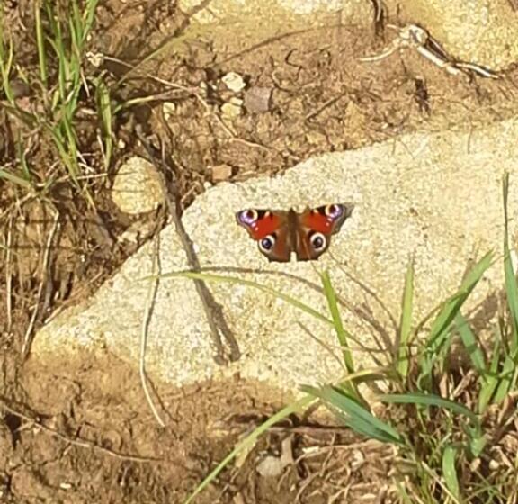 هتل روستایی Tourist Farm Pri Martinovih