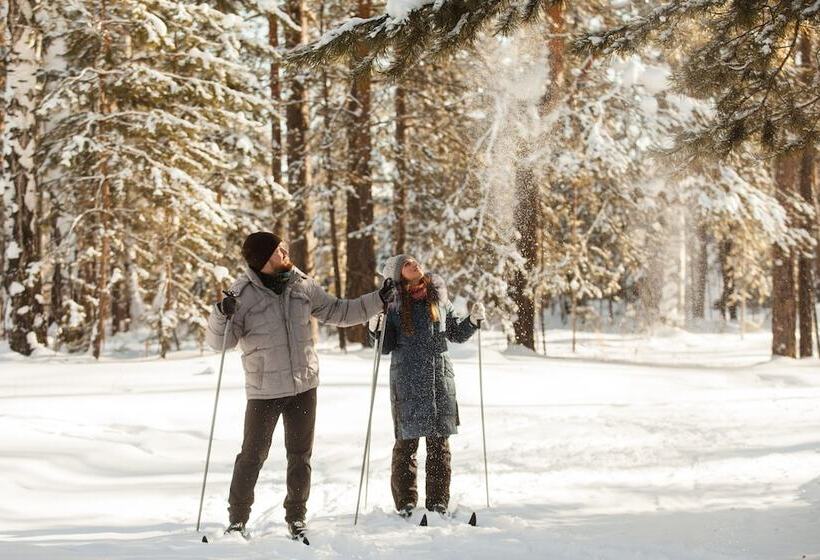 ホテル Zvezdny Park