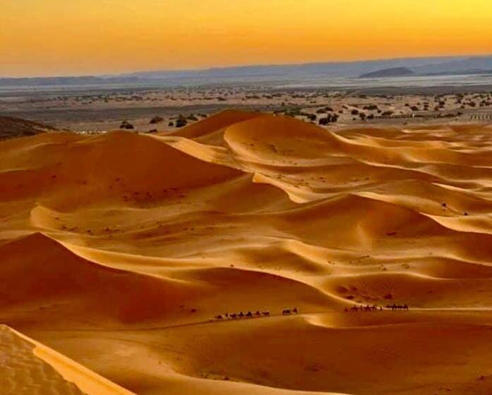 펜션 Auberge L'oasis Mhamid