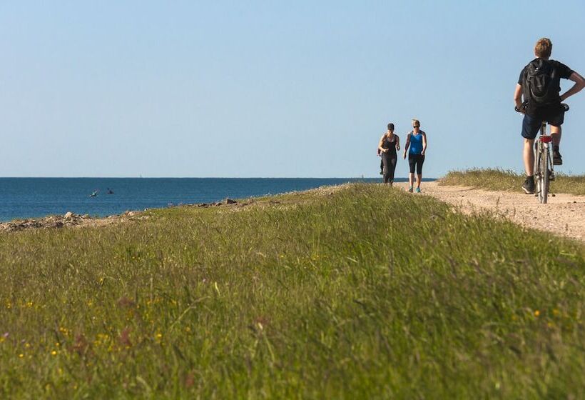 膳宿费 Lindenhof Hotel Garni