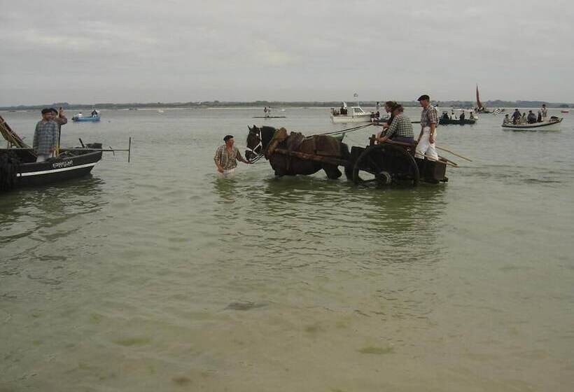 بنسيون Ty Dreux Entre Terre Et Mer