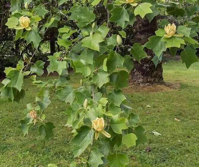 ペンション Ty Dreux Entre Terre Et Mer