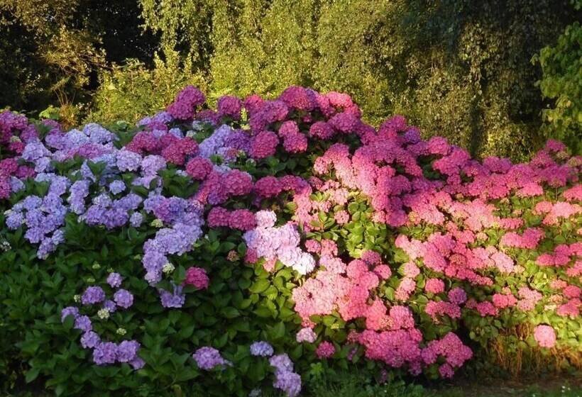 ペンション Ty Dreux Entre Terre Et Mer