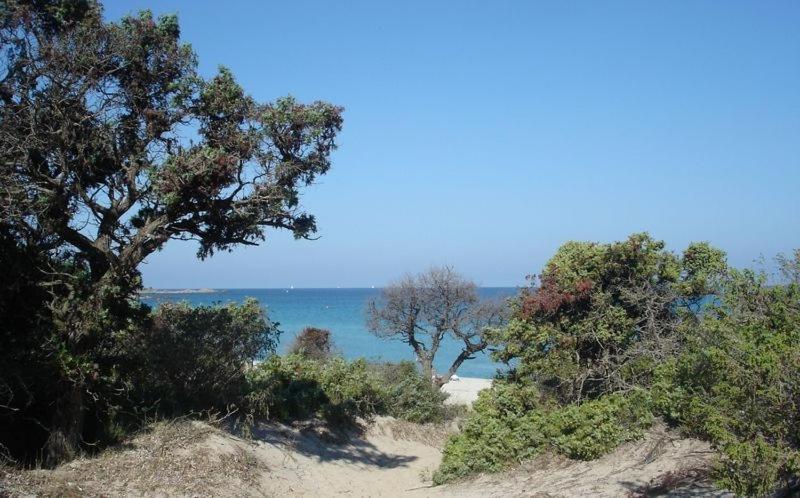 Résidence Roc E Mare