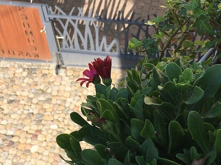 Schmuckkästle Am Hafen