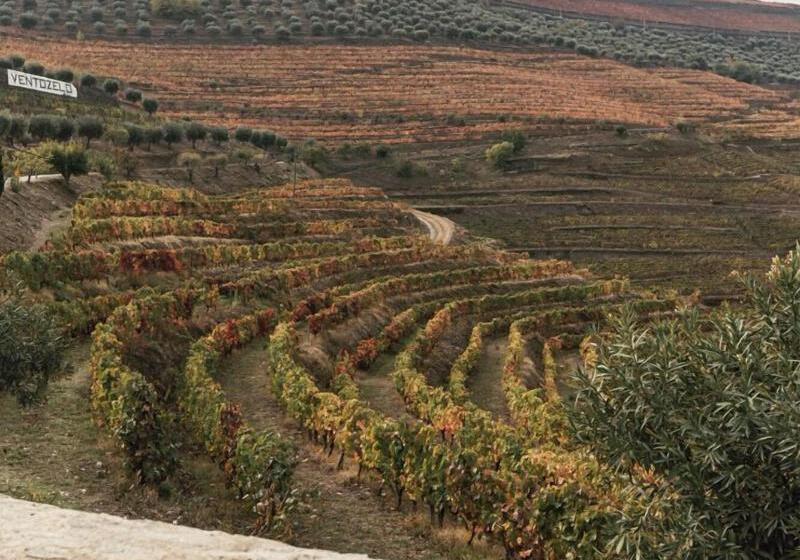 Ventozelo Hotel & Quinta