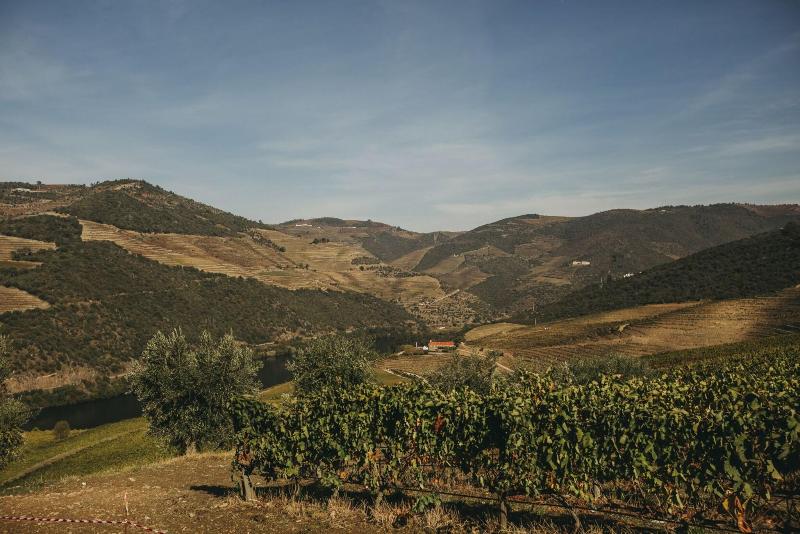 Ventozelo Hotel & Quinta